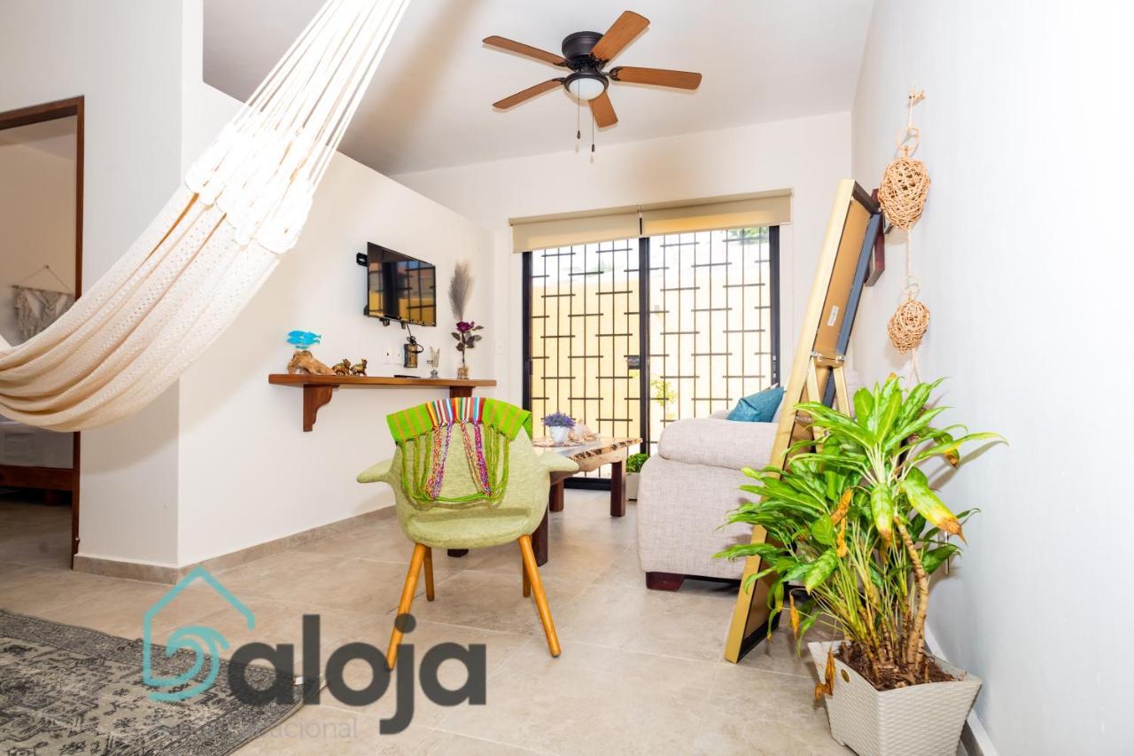 Ideal Estudios Calidos Y Acogedores Apartamento *