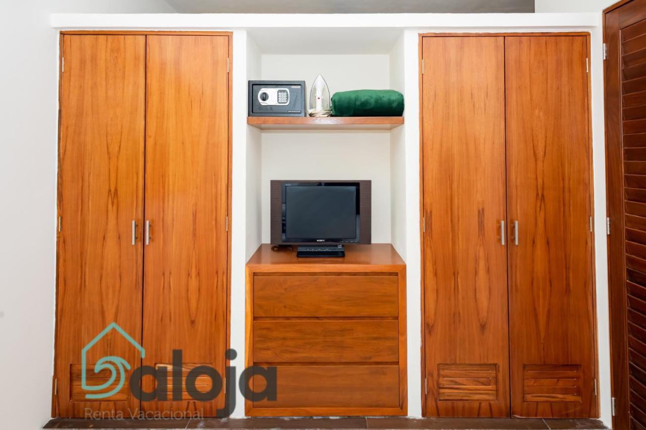 Ideal Estudios Calidos Y Acogedores