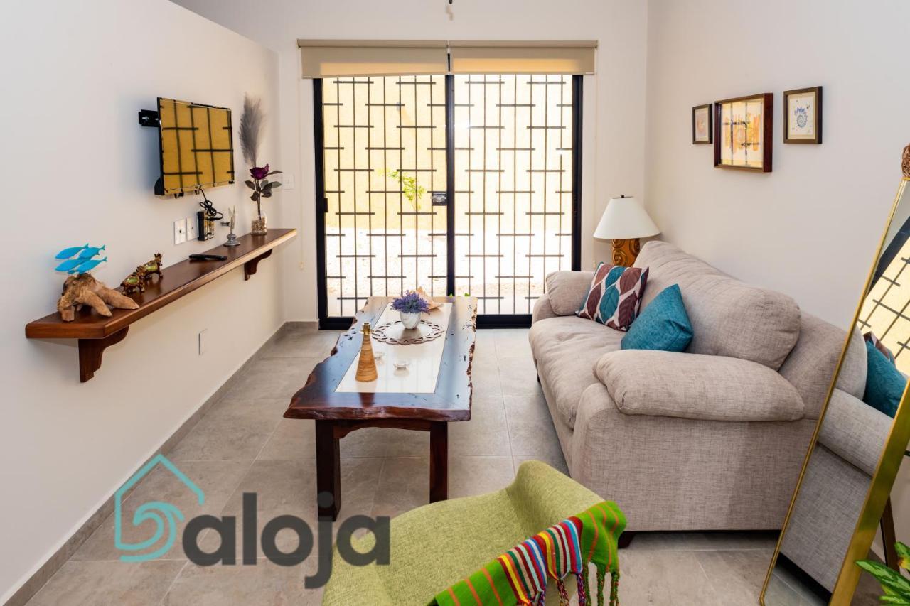 Apartamento Ideal Estudios Calidos Y Acogedores