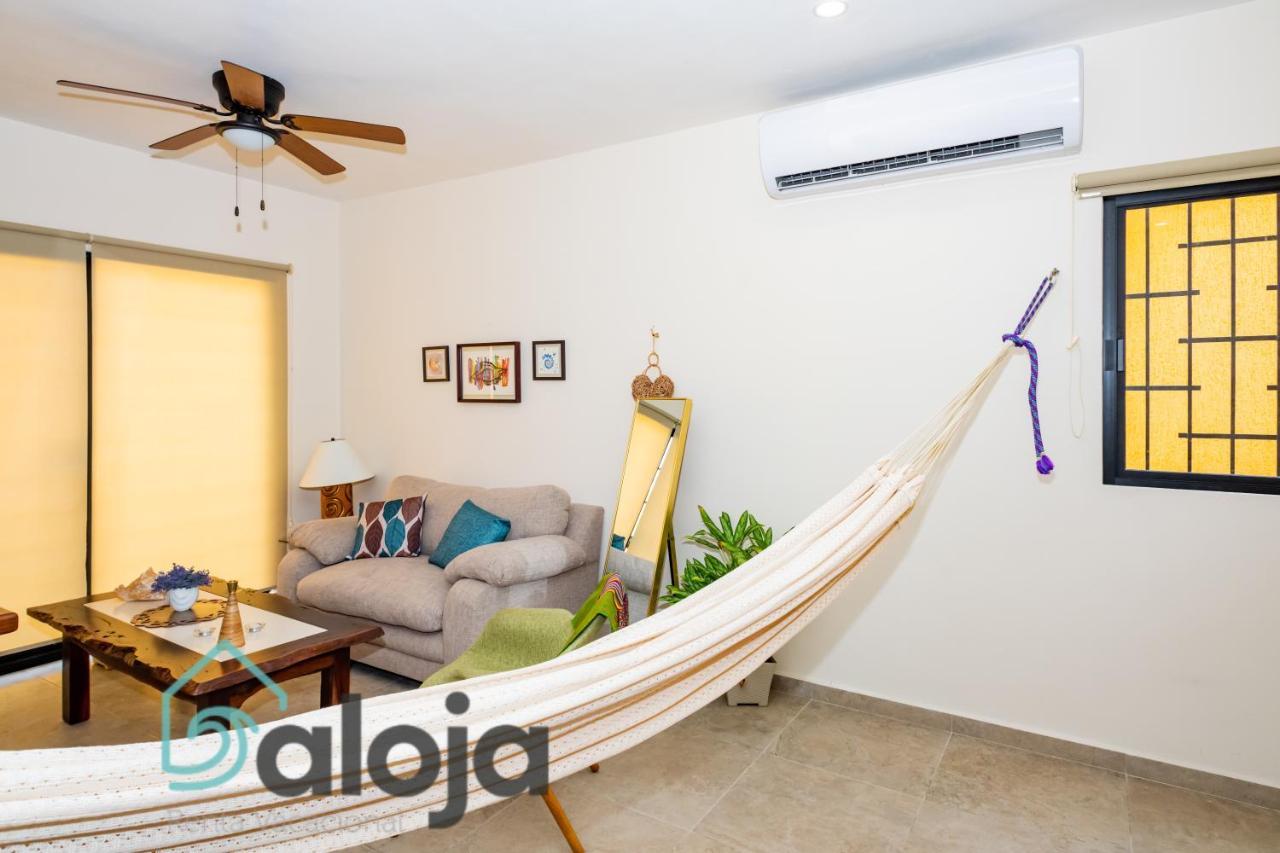 Apartamento Ideal Estudios Calidos Y Acogedores *