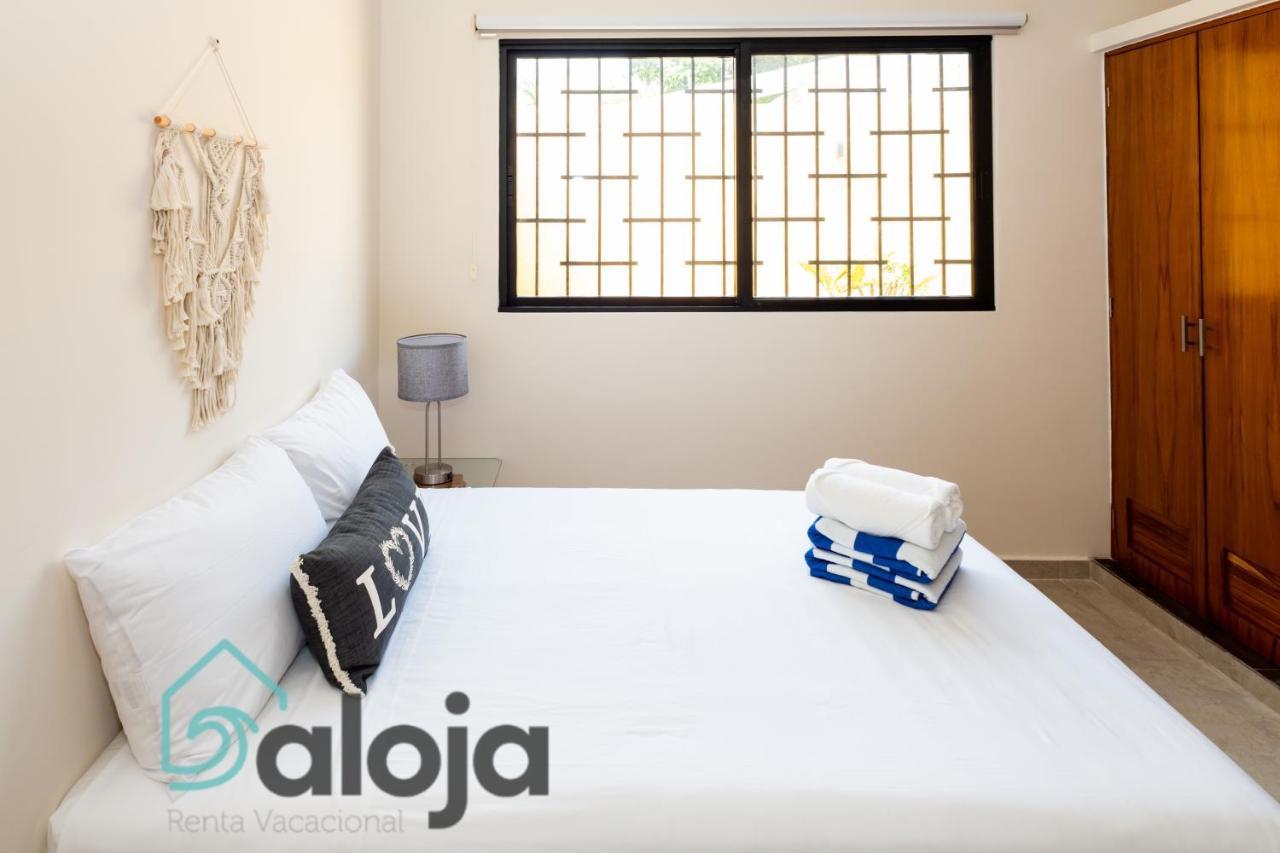 Ideal Estudios Calidos Y Acogedores Apartamento