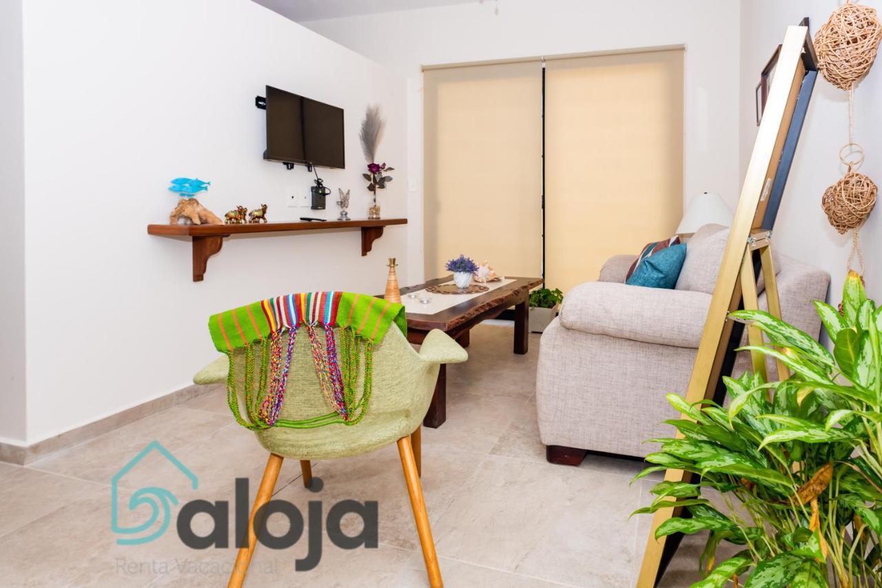 Ideal Estudios Calidos Y Acogedores * Cancún