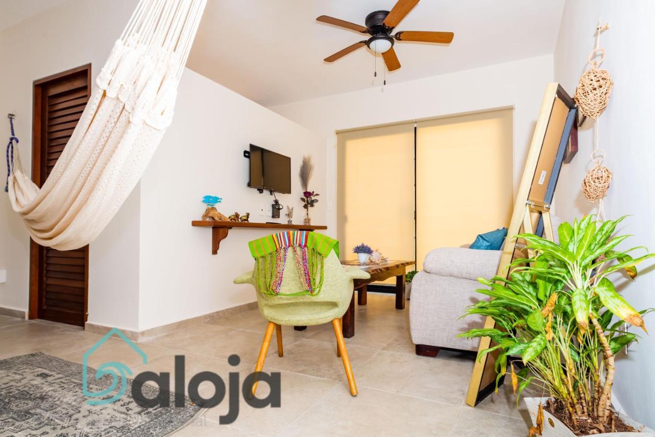 Ideal Estudios Calidos Y Acogedores Cancún