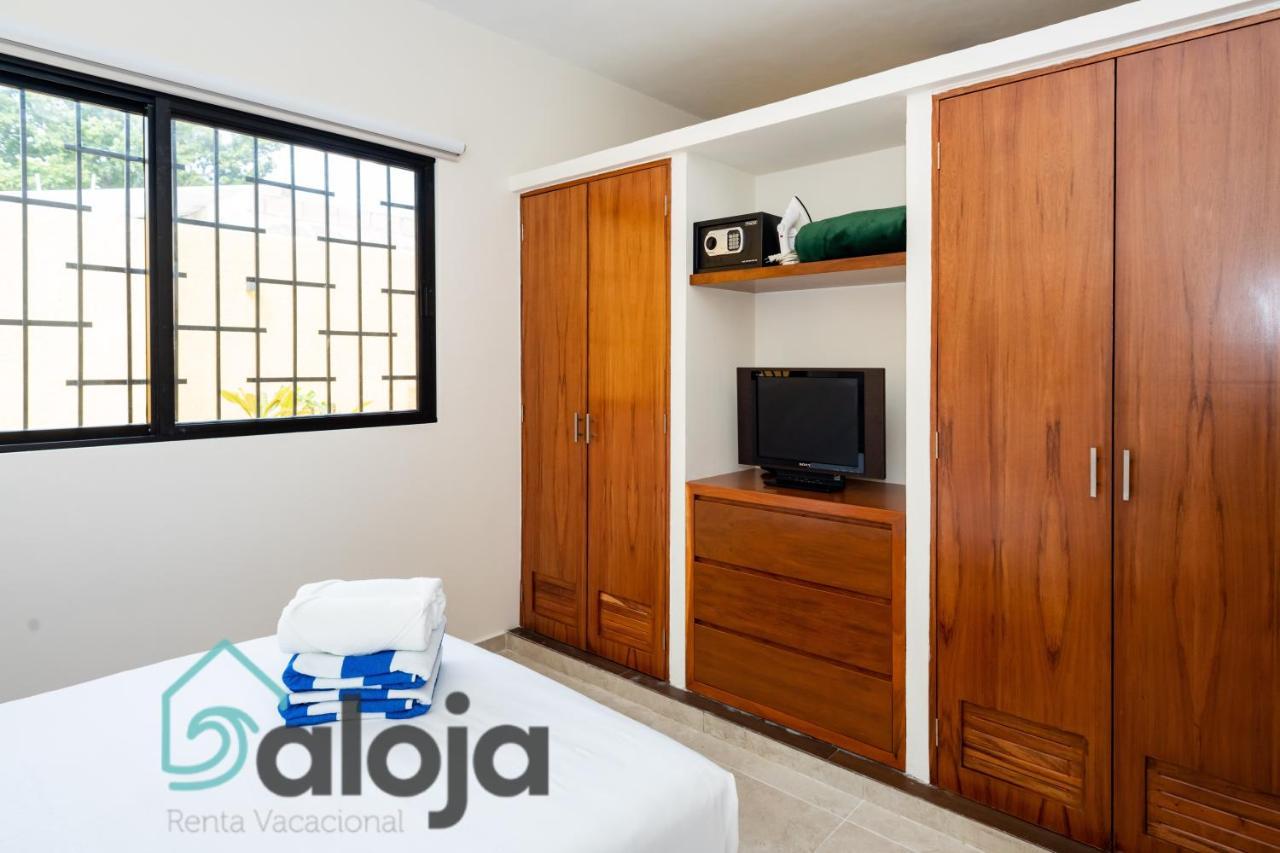 Ideal Estudios Calidos Y Acogedores Apartamento *
