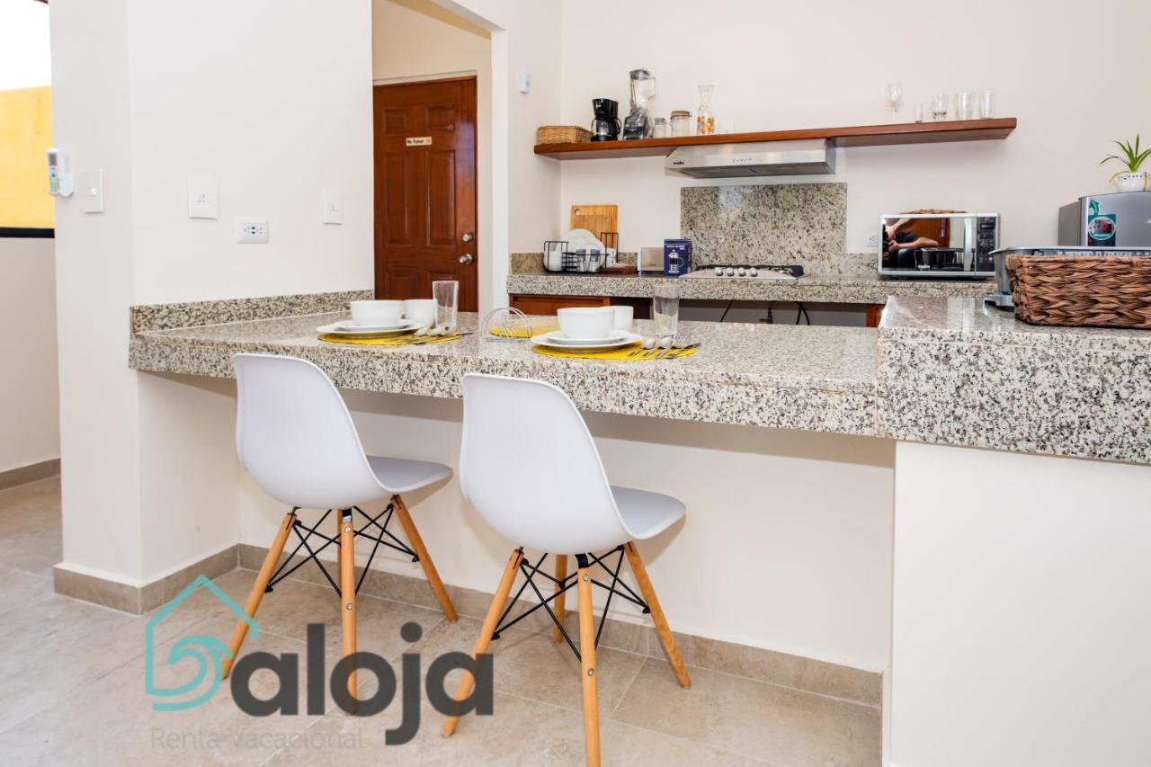 Ideal Estudios Calidos Y Acogedores Apartamento