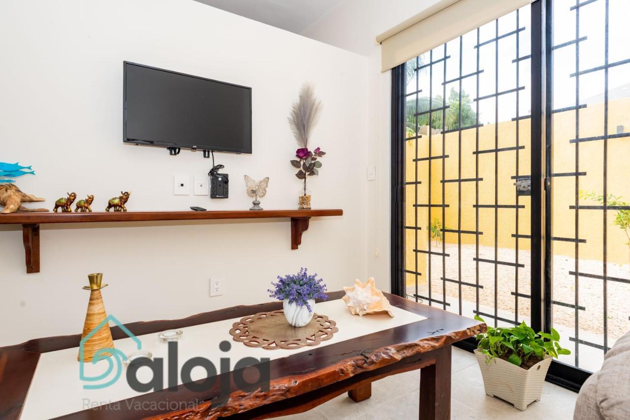 Ideal Estudios Calidos Y Acogedores Cancún